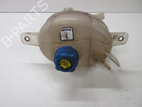 Used Expansion tank PEUGEOT BIPPER Tepee 1.4 HDi (68 hp) 20901039
