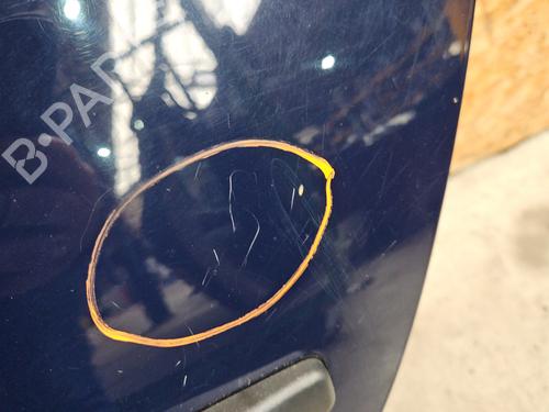 Left rear door DACIA SANDERO 1.2 16V | BP28444893C4