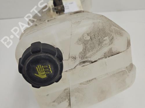 Expansion tank RENAULT KANGOO Express (FW0/1_) Z.E. (FW0Z, FW1Z) | BP28030103C120 