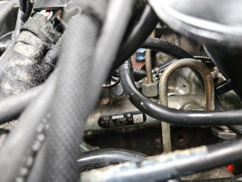 Engine PEUGEOT EXPERT Van (222) 2.0 HDI | BP29392534M1 