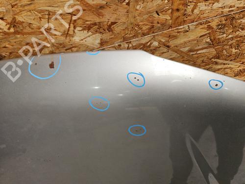 Hood PEUGEOT 306 Hatchback (7A, 7C, N3, N5) 2.0 HDI 90 | BP29196700C1 