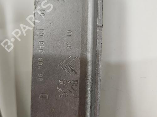 Used Hinge/Door check strap Hinge/Door check strap CITROËN BERLINGO MULTISPACE (B9) 1.6 HDi 110 (109 hp) 25598073 25598073