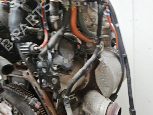 Engine RENAULT CLIO V (B7_) 1.0 SCe 65 (B7MG) | BP28206920M1 
