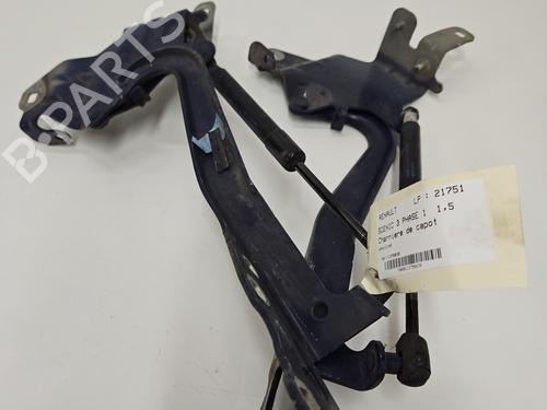Used Hinge/Door check strap RENAULT SCÉNIC III (JZ0/1_) 1.5 dCi (110 hp) 29837670
