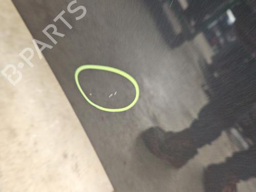 Motorhjelm RENAULT ZOE (BFM_) ZOE | BP31873624C1 