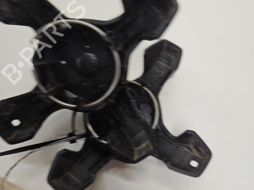 Hub cap PEUGEOT 208 II (UB_, UP_, UW_, UJ_) 1.2 PureTech 100 | BP27330237C160 