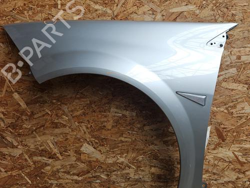 Used Left front fenders RENAULT MEGANE II (BM0/1_, CM0/1_) 1.5 dCi (BM1E, CM1E) (106 hp) 28503746