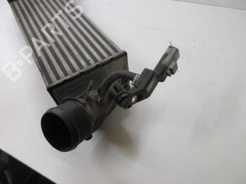 Used Intercooler Intercooler CITROËN C8 (EA_, EB_) 2.2 HDi (128 hp) 20889197 20889197