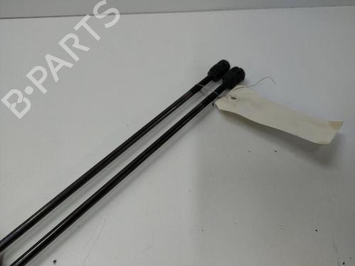 Used Tailgate lift support FORD KUGA I 2.0 TDCi (140 hp) 20905222