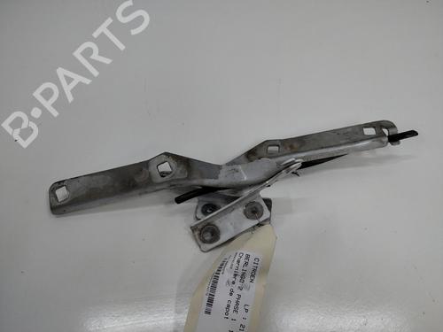 Used Hinge/Door check strap CITROËN BERLINGO Box Body/MPV (B9) 1.6 HDi 75 (75 hp) 22595066