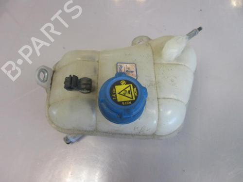 Used Expansion tank FIAT BRAVO II (198_) 1.6 D Multijet (198AXH1B) (105 hp) 20901368
