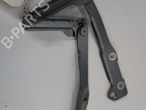 Used Hinge/Door check strap Hinge/Door check strap DACIA SANDERO 1.5 dCi (68 hp) 20901888 20901888