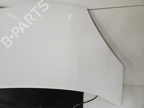 hood-renault-kangoo-express-fw01_-2008-38788634 main image