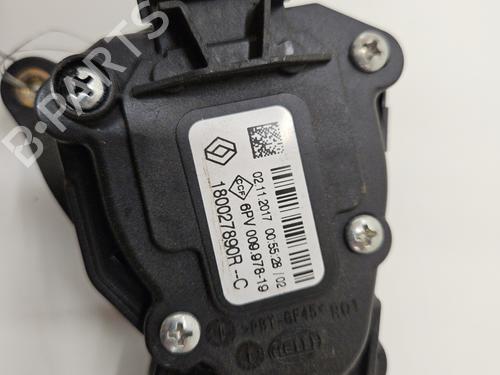 Pedal RENAULT SCÉNIC III (JZ0/1_) 1.5 dCi | BP26276566I4 