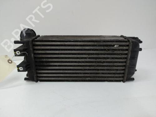 Intercooler CITROËN DS4 (NX_) 1.6 HDi 115 (114 hp) 20905734