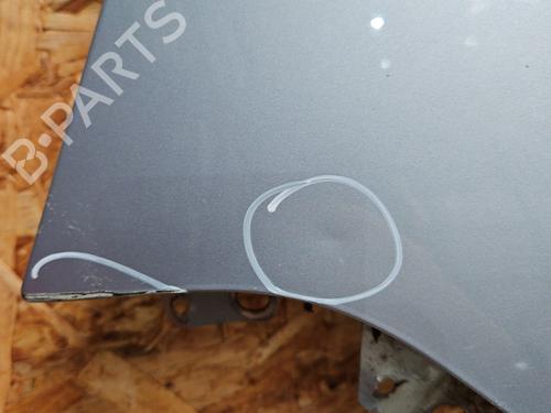 Left front fenders PEUGEOT PARTNER MPV (5_, G_) 2.0 HDI | BP29578411C41 