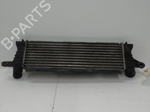 Used Intercooler Intercooler RENAULT KANGOO (KC0/1_) 1.9 dCi 4x4 (84 hp) 20899867 20899867