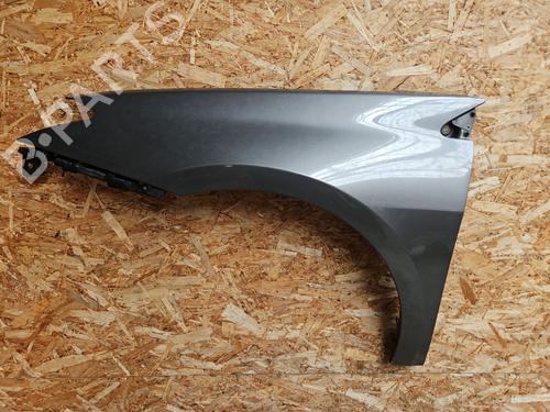 Used Left front fenders RENAULT LAGUNA III (BT0/1) 1.5 dCi (BT00, BT0A, BT0T, BT1J) (110 hp) 28306210