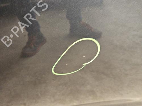 Dør venstre bagtil RENAULT ZOE (BFM_) ZOE | BP31873626C4