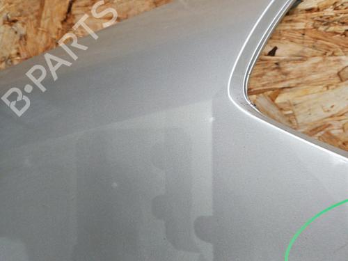 Right front fenders RENAULT CLIO III (BR0/1, CR0/1) 1.5 dCi (BR17, CR17) | BP29895689C42