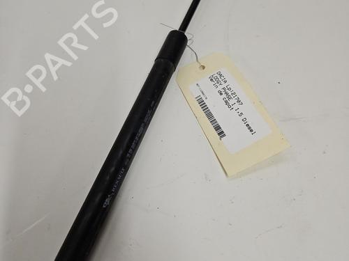 Used Hood lift support DACIA LODGY (JS_) 1.5 dCi (JSMC, JSAF) (107 hp) 29494783