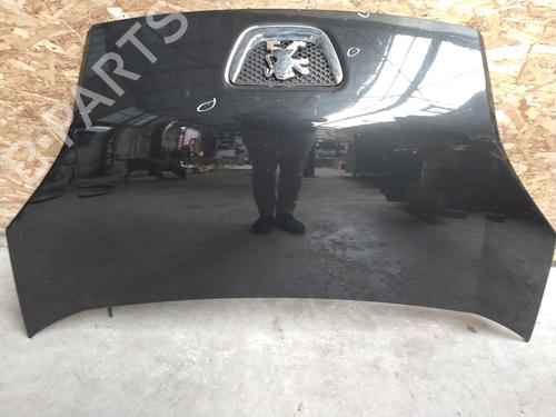 Used Hood PEUGEOT BIPPER Tepee 1.3 HDi 75 (75 hp) 23843100