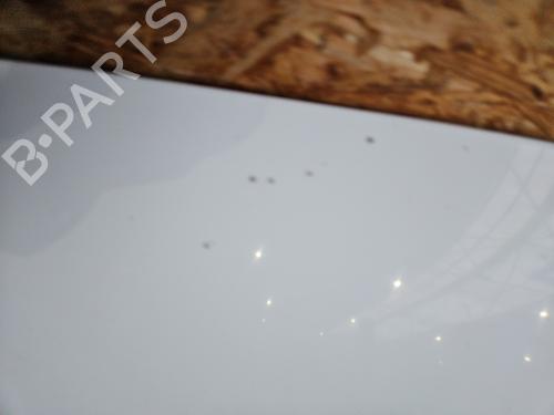 Hood FORD TRANSIT Van (FA_ _) 2.2 TDCi | BP29640289C1 