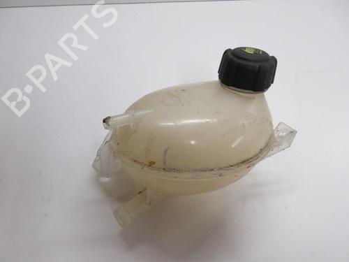 Used Expansion tank DACIA SANDERO II 1.0 SCe 75 (B8JC, B8JD, B8NC) (73 hp) 22108396