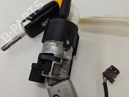 Used Electronic module Electronic module PEUGEOT 3008 I MPV (0U_) 1.6 HDi (109 hp) 30865095 30865095