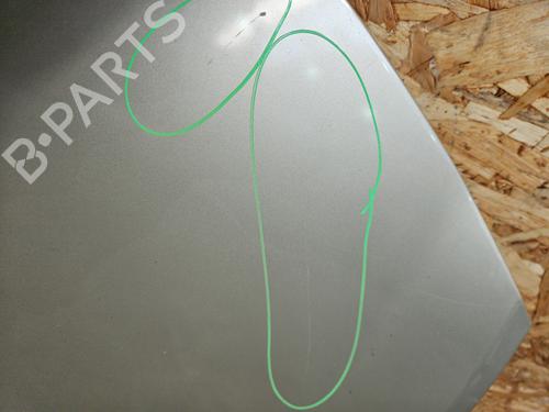 Hood RENAULT CLIO III (BR0/1, CR0/1) 1.5 dCi (BR17, CR17) | BP29895692C1