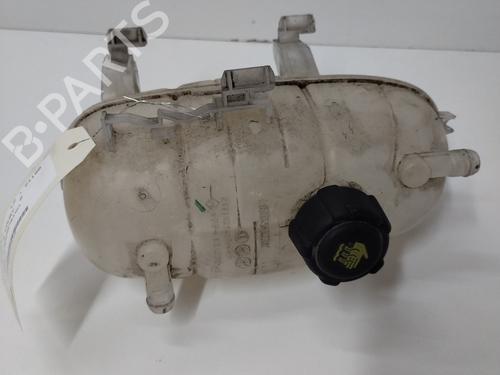Used Expansion tank RENAULT TRAFIC III Van (FG_) 2.0 dCi 145 (FGML) (145 hp) 21589882