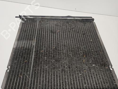 Wasserkühler für Wasserkühler CITROËN C3 I (FC_, FN_) [2002-2013] 36317217 36317217