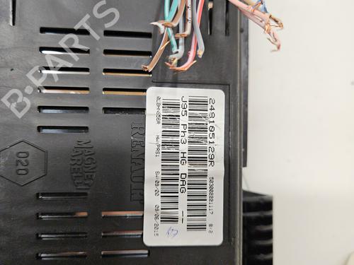 Kombinert Instrument RENAULT SCÉNIC III (JZ0/1_) 1.2 TCe | BP29978729C47