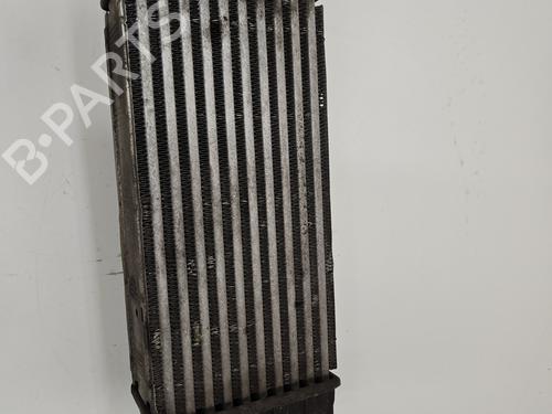 Used Intercooler CITROËN C4 II (NC_) 1.6 HDi 115 (114 hp) 30115960