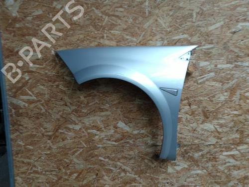 Used Left front fenders RENAULT MEGANE II (BM0/1_, CM0/1_) 1.5 dCi (BM02, BM13, BM2A, CM02, CM13) (101 hp) 20888582