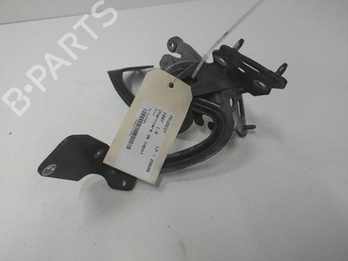 Used Hinge/Door check strap PEUGEOT 1007 (KM_) 1.6 HDi (109 hp) 20894089