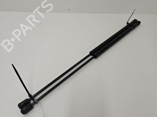 tailgate-lift-support-renault-scenic-i-mpv-ja01_-fa0_-1999-2000-2001-2002-2003-2004-2005-2006-2007-2008-2009-2010-31934247 main image