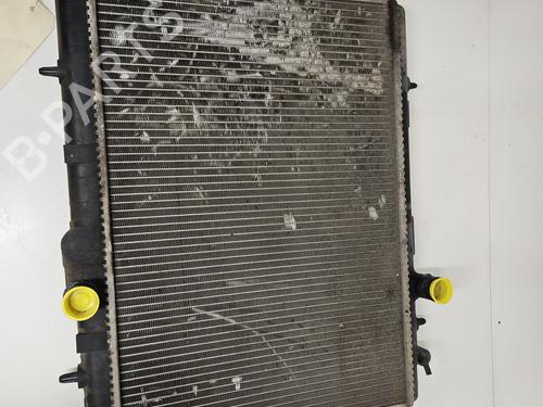 Water radiator PEUGEOT 206 Hatchback (2A/C) 1.9 D | BP29702975M31 