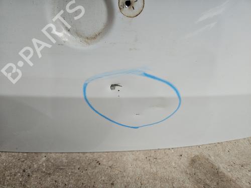 Tailgate DACIA LODGY (JS_) 1.5 dCi (JSMC, JSAF) | BP29467951C6 