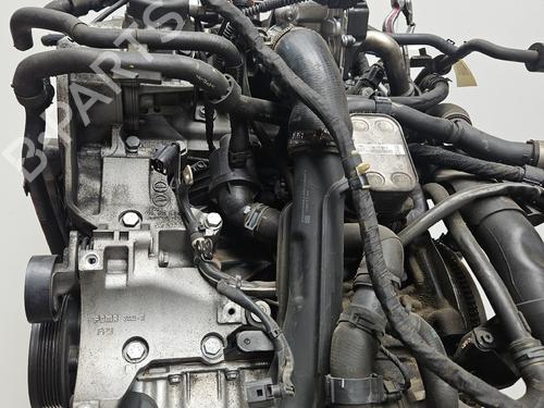 Engine VW BEETLE (5C1, 5C2)  | BP34557160M1  - Image 7