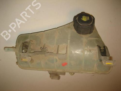 Used Expansion tank RENAULT KANGOO Express (FW0/1_) 1.5 dCi 85 (FW0K, FW0L, FW0B) (86 hp) 20910340