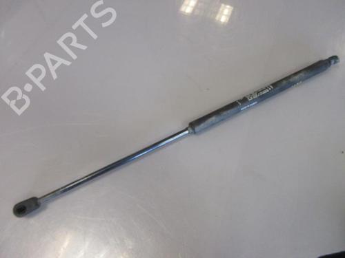 Used Tailgate lift support FIAT BRAVO II (198_) 1.6 D Multijet (198AXH1B) (105 hp) 20901355