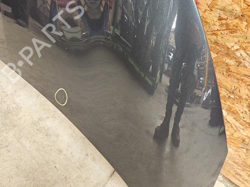 Motorhjelm RENAULT ZOE (BFM_) ZOE | BP31873624C1 