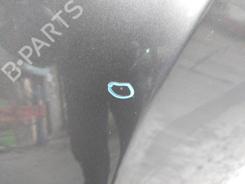 Hood RENAULT MEGANE III Coupe (DZ0/1_) 1.6 dCi (DZ00, DZ12, DZ2A, DZ13) | BP23843053C1 