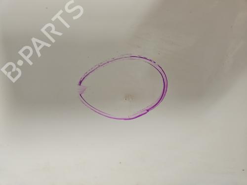 Left front door MINI MINI (R56) Cooper D | BP28030033C2 