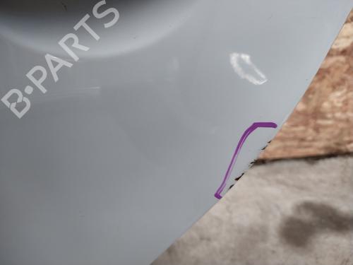 Left rear door DACIA SANDERO 1.4 (BS0C, BS0A, BS0G, BS1F, BS0E) | BP21682076C4