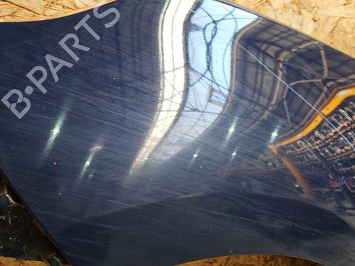 Guarda-lamas esquerdo Guarda-lamas esquerdo RENAULT SCÉNIC III (JZ0/1_) 1.5 dCi (110 hp) 29640296 29640296