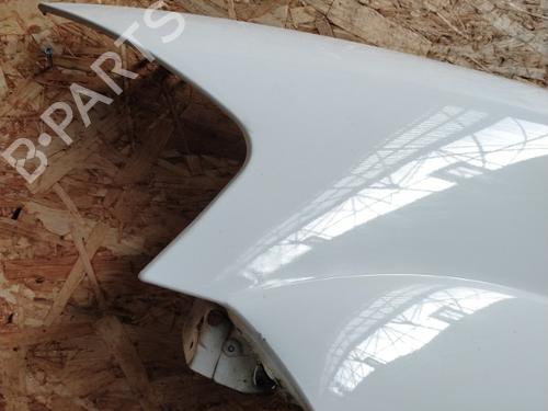 Left front fenders CITROËN C3 I (FC_, FN_) 1.4 16V HDi | BP20907490C41 