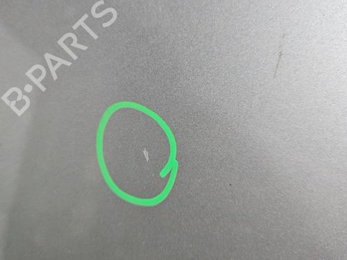 Hood RENAULT SCÉNIC III (JZ0/1_) 1.2 TCe | BP29895726C1 