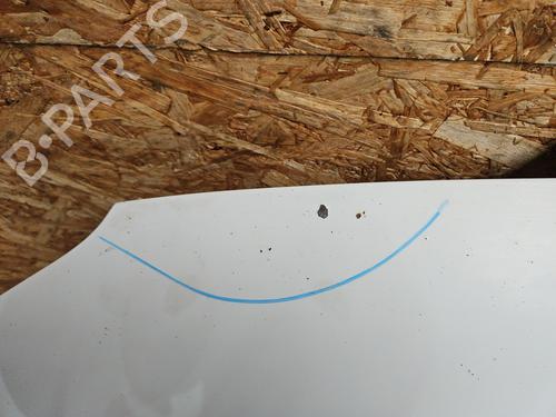 Hood PEUGEOT 106 II (1A_, 1C_) 1.5 D | BP29521520C1 